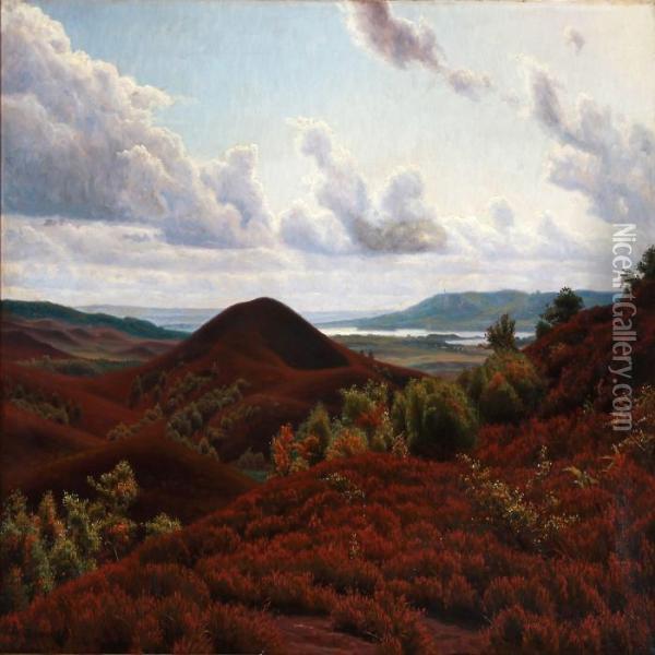 View Of The Silkeborg Lakes Oil Painting - Emil Winnerwald