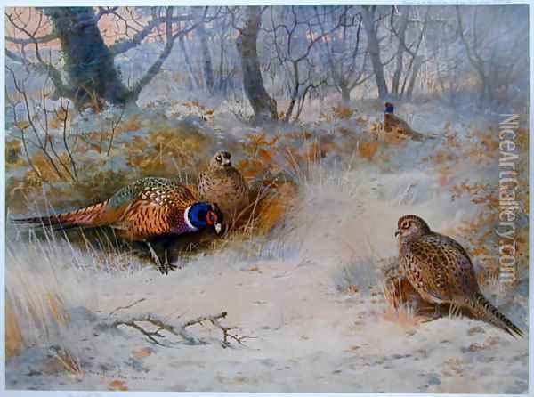 Frost in the Coverts Oil Painting - Archibald Thorburn