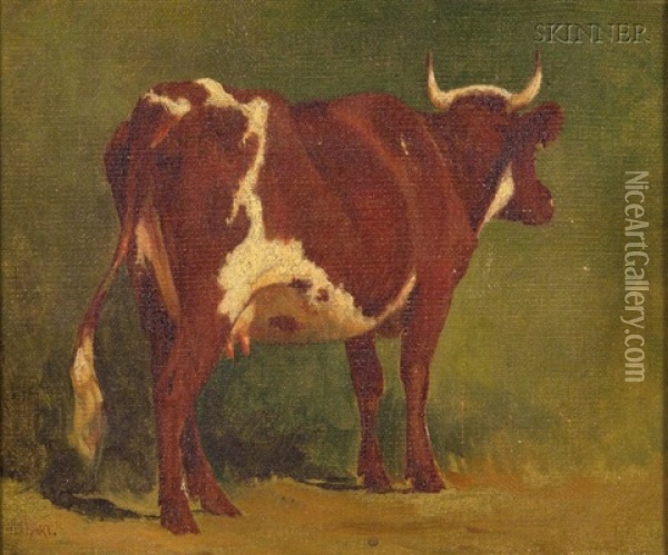 Cow Oil Painting - William Howard Hart