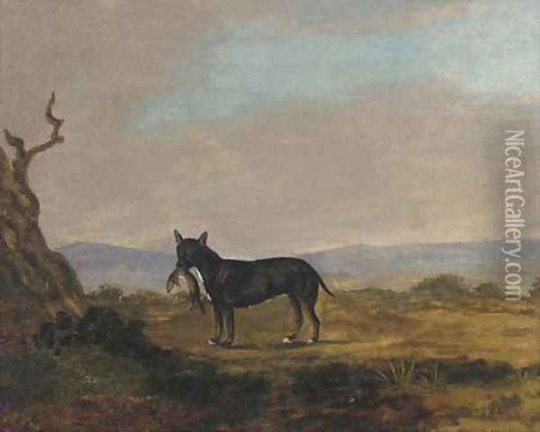 A terrier with a rat Oil Painting - English School