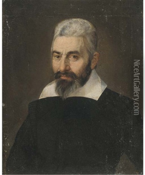 Portrait Of A Gentleman, Half-length, In A Black Doublet Oil Painting - Bartolomeo Passarotti