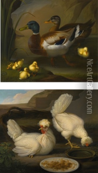 A Pair Of Ducks With Four Ducklings; Two Chickens Oil Painting - Wenceslaus (Wenzel) Peter