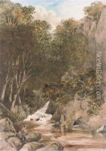 The Falls Pool Oil Painting - R.R. Roberts