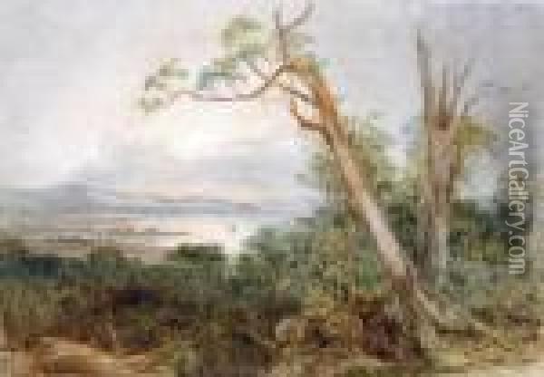 An Australian Coastal Landscape Oil Painting - Conrad Martens
