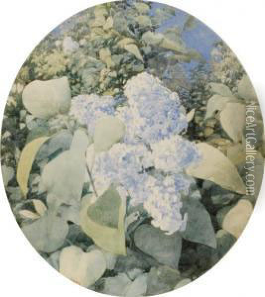 Lilacs Oil Painting - John William Hill