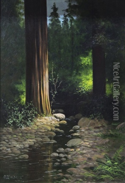 Redwood Forest Interior Oil Painting - Charles Theller Wilson