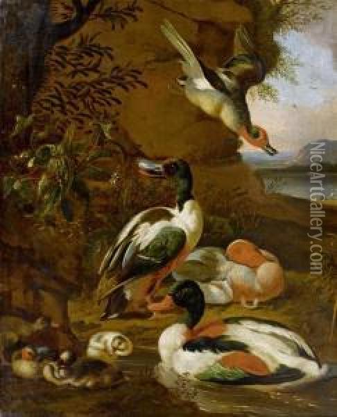 Poultry Oil Painting - Adriaen van Oolen