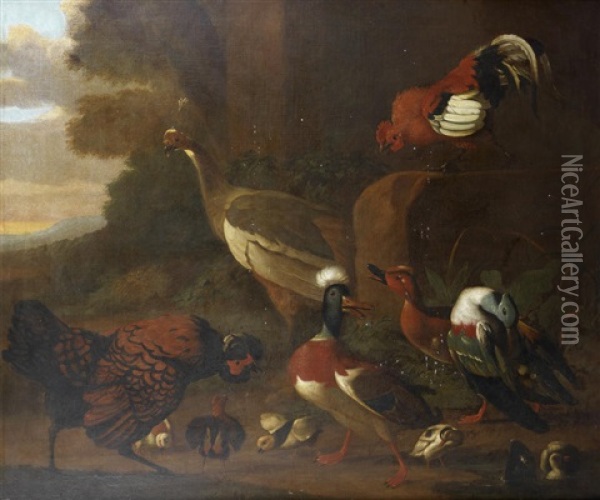 A Peacock, Cockerels, Ducks And Ducklings In A Landscape Oil Painting - Melchior de Hondecoeter