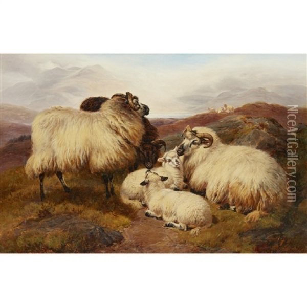 Sheep On A Hillside Oil Painting - William R.C. Watson
