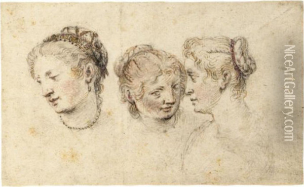 Study Of Three Female Heads Oil Painting - Jan Pietersz. Saenredam