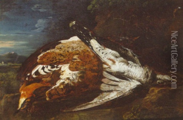 Dead Birds In A Landscape Oil Painting - Baldassare De Caro