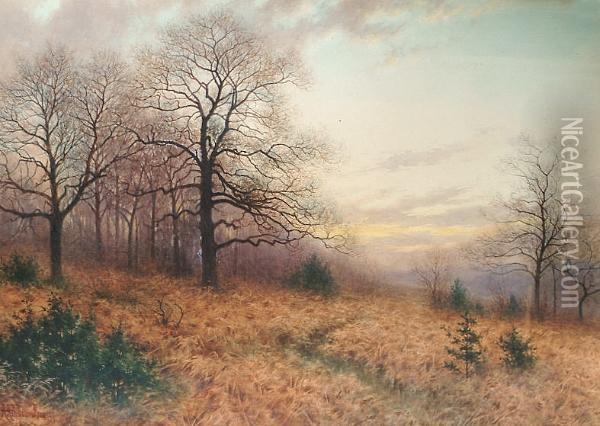 Autumn Landscape 'a Ashdown Box 07' (lower Left) Oil Painting - Alfred Ashdown Box