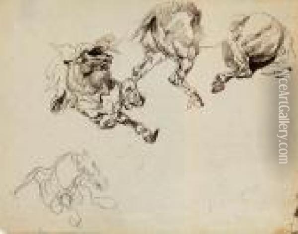 Studies Of The Front And Hind Quarters Of A Rearing Horse Oil Painting - Eugene Delacroix