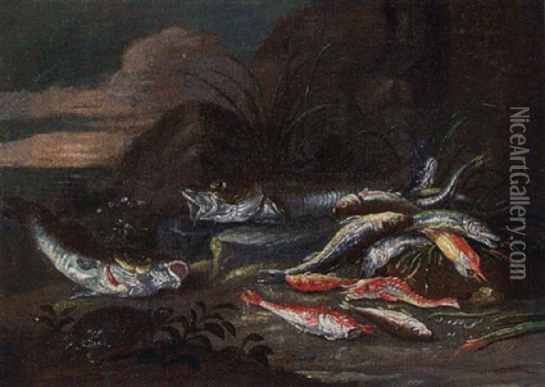 Dead Fish And A Tortoise On A River Bank Oil Painting - Jan van Kessel the Elder
