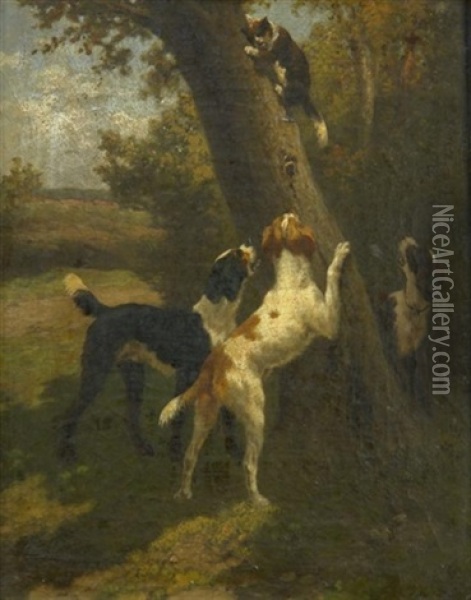 Auf Der Flucht. Katze Bringt Sich Vor Drei Hunden Auf Einem Baum In Sicherheit Oil Painting -  Engler