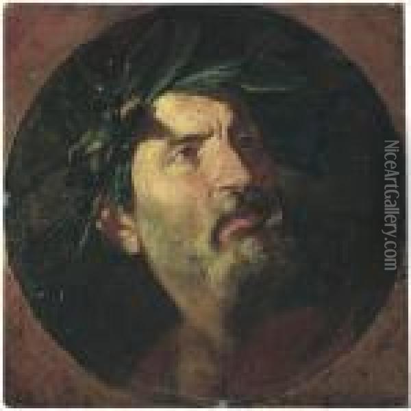 Study Of The Head Of An Old Man Crowned With Laurel, Probably A Poet Oil Painting - Andrea Di Lione