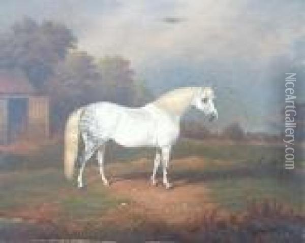 A Dapple Grey Horse Oil Painting - William Eddowes Turner