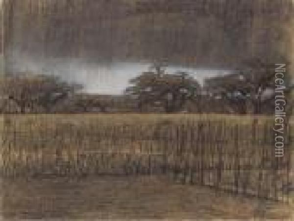 Akkers Met Oude Bomen: Clouds Over A Farm Field Oil Painting - Jacobus Van Looy