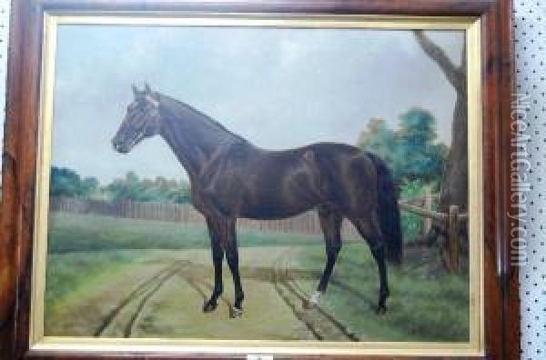 Portrait Of A Horse Oil Painting - Thomas Woodward