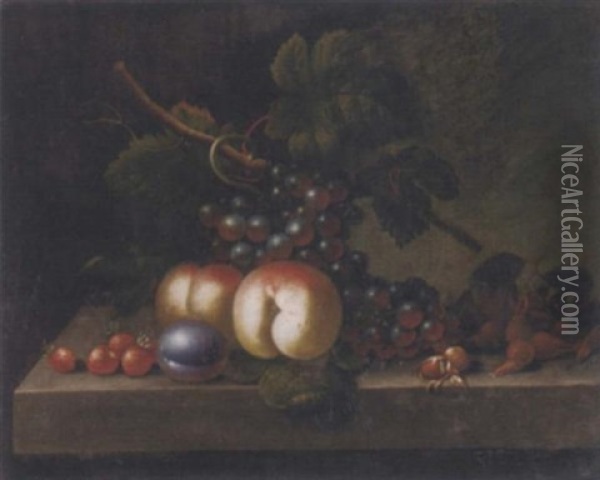 Peaches, Grapes, Strawberries, Nuts And A Plum On A Ledge Oil Painting - Jakob Bogdani