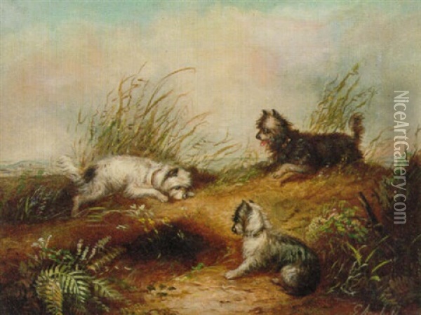Terriers Ratting In A Barn Oil Painting - Edward Armfield