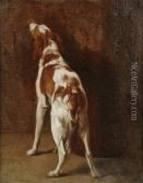 A Study Of A Liver And White Spaniel Oil Painting - Landseer, Sir Edwin