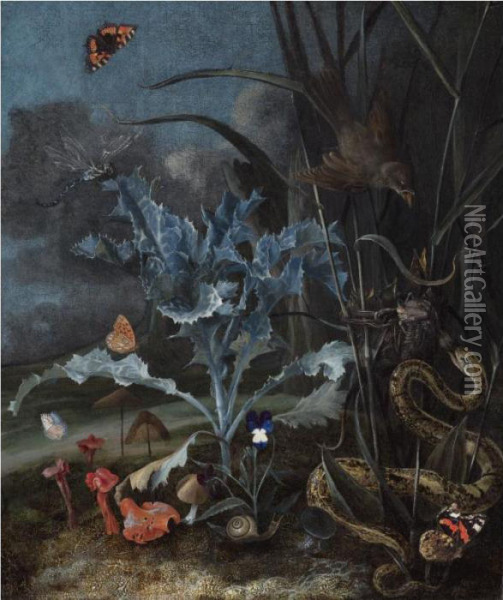 A Forest Floor, With A Milk 
Thistle, Fungi, A Wood Snail, A Queen Of Spain Fritillary, An Emperor 
Moth And An Aspis Adder Attacking A Fledgling From A Nest Of A 
Sedge-warbler Oil Painting - Otto Marseus Snuff. Van Schrieck