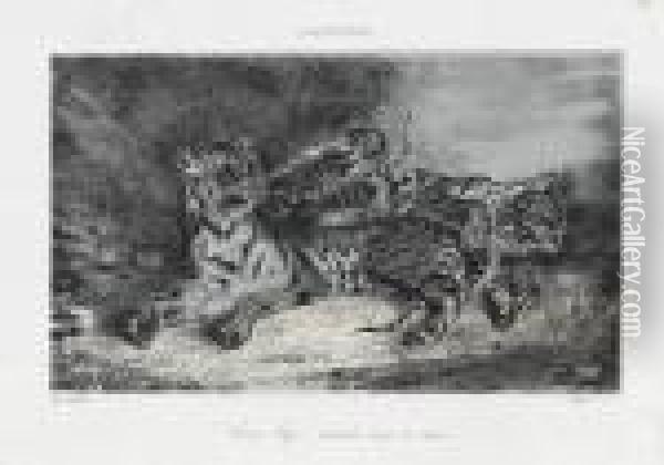 Jeune Tigre Jouant Avec Sa Mere Oil Painting - Eugene Delacroix