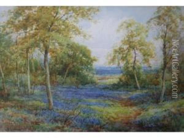 A Bluebell Wood Oil Painting - Henry John Sylvester Stannard