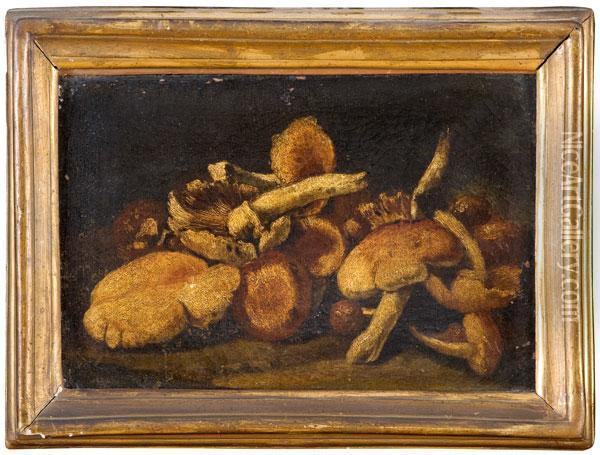 Natura Morta Di Funghi Oil Painting - Paolo Cattamara