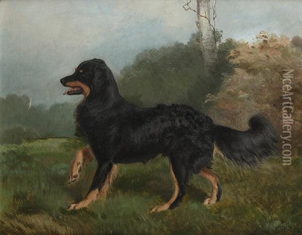 Sharp, Brother Of Fern - One Of Queen Victoria's Dogs Oil Painting - Charles Burton Barber