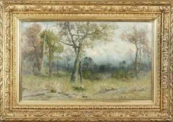 Wooded Landscape Oil Painting - Christopher H. Shearer