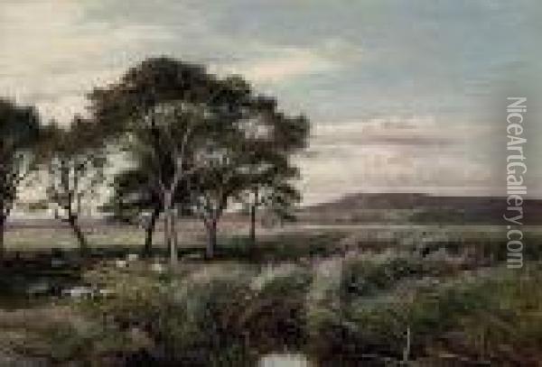 A Reedy Meadow, North Wales Oil Painting - Sidney Richard Percy