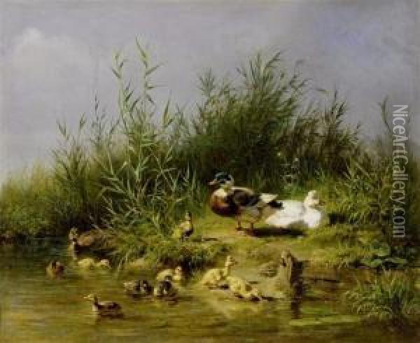 A Family Of Ducks At A Pond Oil Painting - Carl Jutz