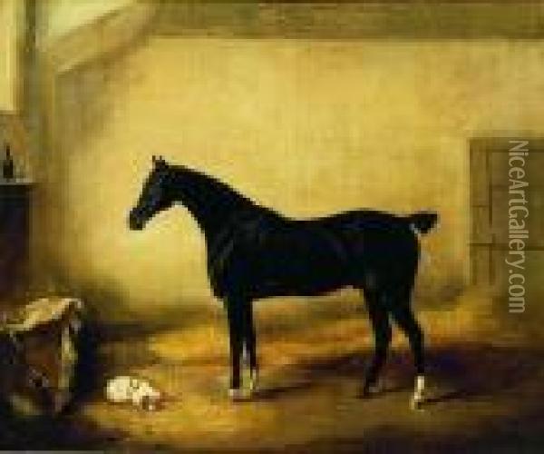 Black Stallion In A Stall Oil Painting - Thomas Woodward