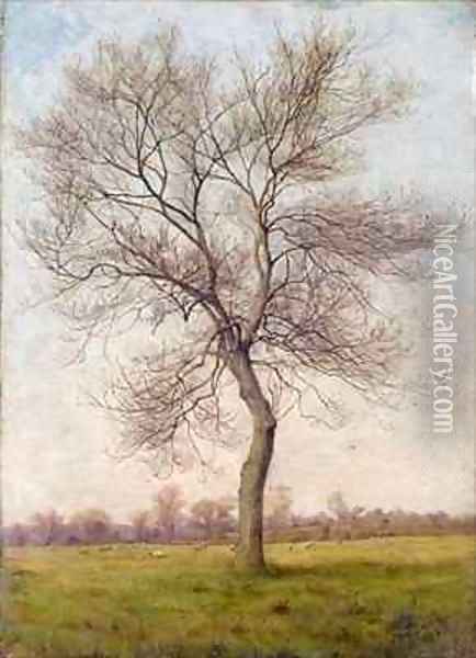 Study of an Ash Tree in Winter Oil Painting - James Hey Davies