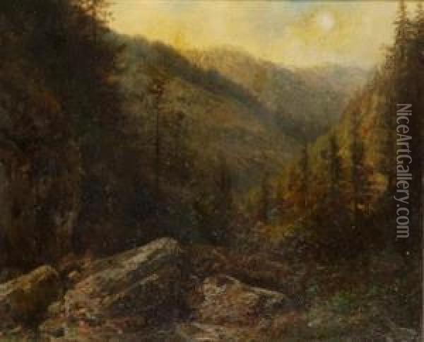 A Forest Brook Oil Painting - August Bedrich Piepenhagen