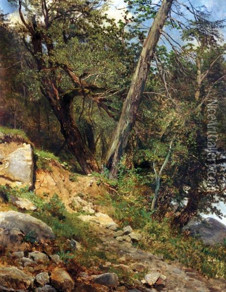 Na Kraji Lesa Oil Painting - Julius Eduard Marak