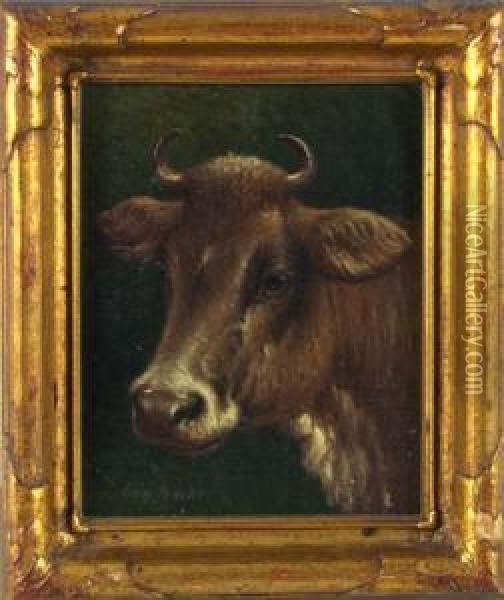 Portrait Of A Cow Oil Painting - George A.E., Geo Riecke