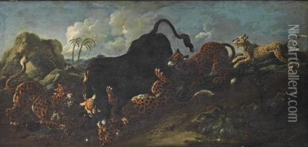 Leopards Attacking A Bull In A Landscape Oil Painting - Johan Heinrich Roos