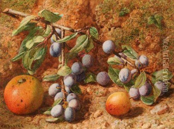 Still Life Study Of Plums And Apples On A Mossy Bank Oil Painting - Charles Henry Slater