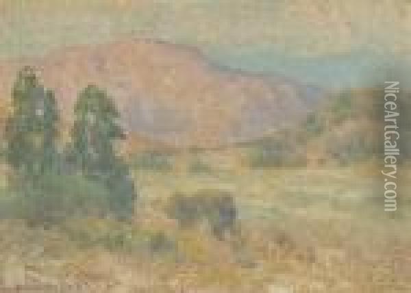 Mountains Inland From San Diego Oil Painting - Maurice Braun