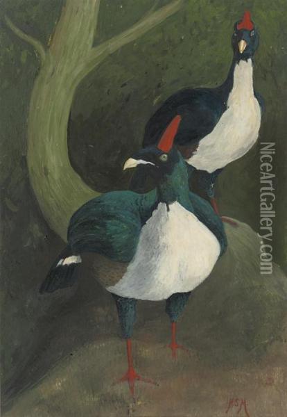 Two Horned Guan Oil Painting - Henry Stacy Marks
