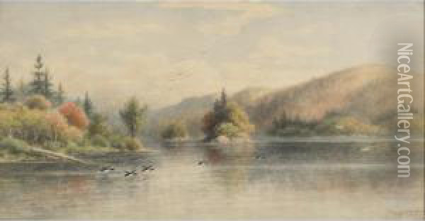On The Nipigon River Oil Painting - Frederick Arthur Verner
