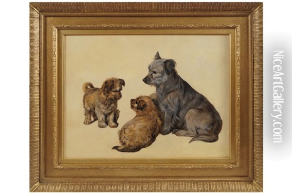 Study Of Dogs Oil Painting - Sir Edwin Henry Landseer