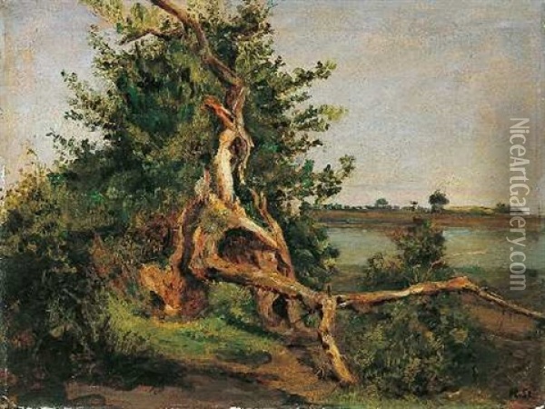 Baumstudie (vom Blitz Getroffen) Oil Painting - Heinrich Steinike