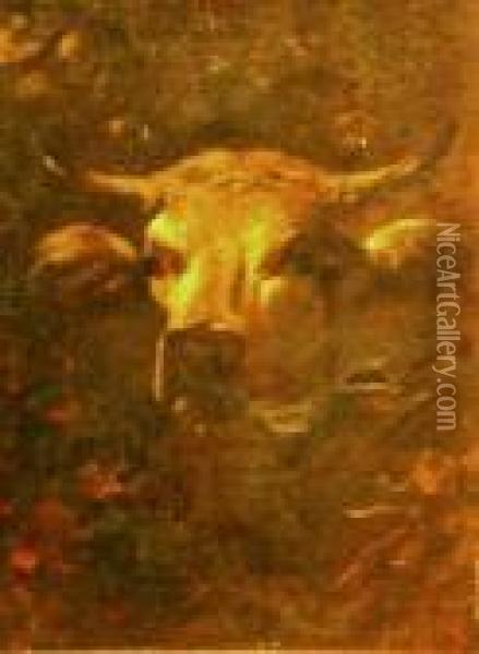 Head Of A Cow Oil Painting - James McDougal Hart