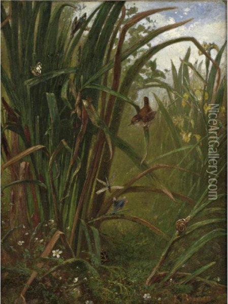 Marsh Interior Oil Painting - Karl Bodmer