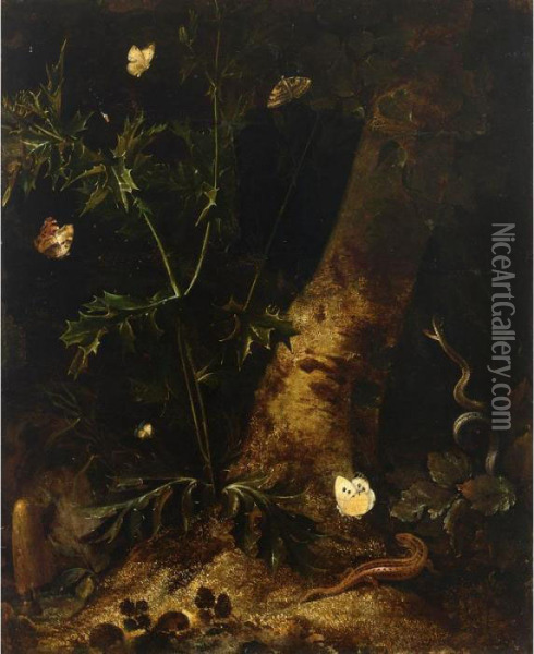 A Forest Floor Still Life With A
 Salamander, Snake And Various Butterflies Around A Thistle Oil Painting - Otto Marseus Snuff. Van Schrieck