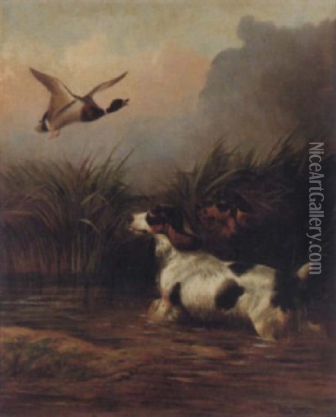 Settrar I Vass Samt Flygande And Oil Painting - Colin Graeme